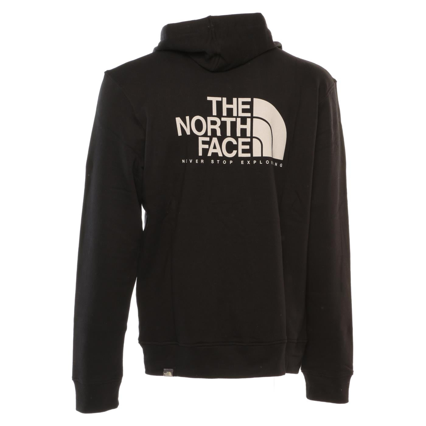 THE NORTH FACE ARASHI LOGO HOODY