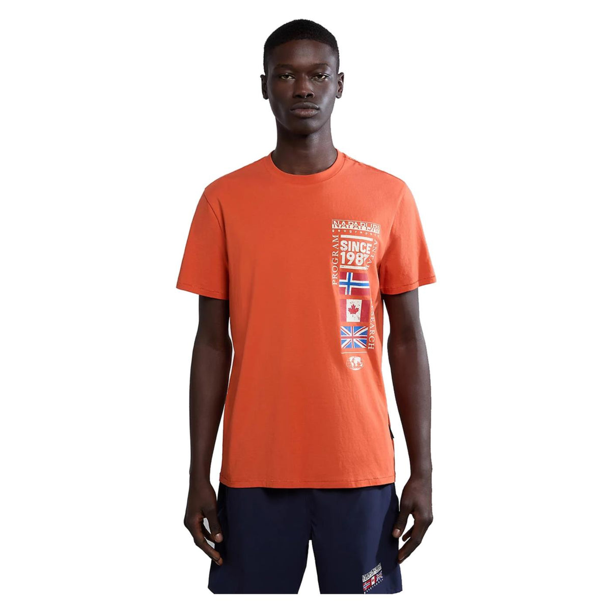 NAPAPIJRI S-TURIN SS CREW TEE - seconda immagine
