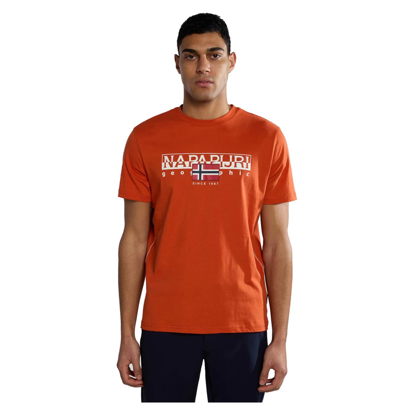 NAPAPIJRI S-AYLMER SS CREW TEE