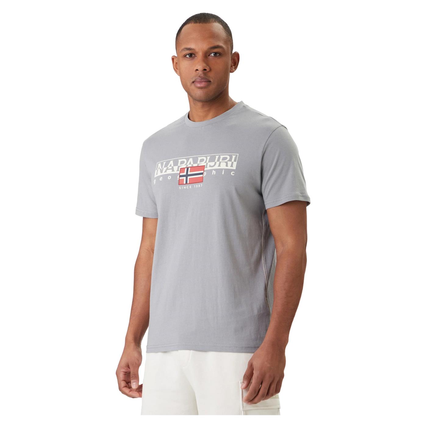 NAPAPIJRI T-SHIRT S-AYLMER - C1-grigio-c - immagine principale
