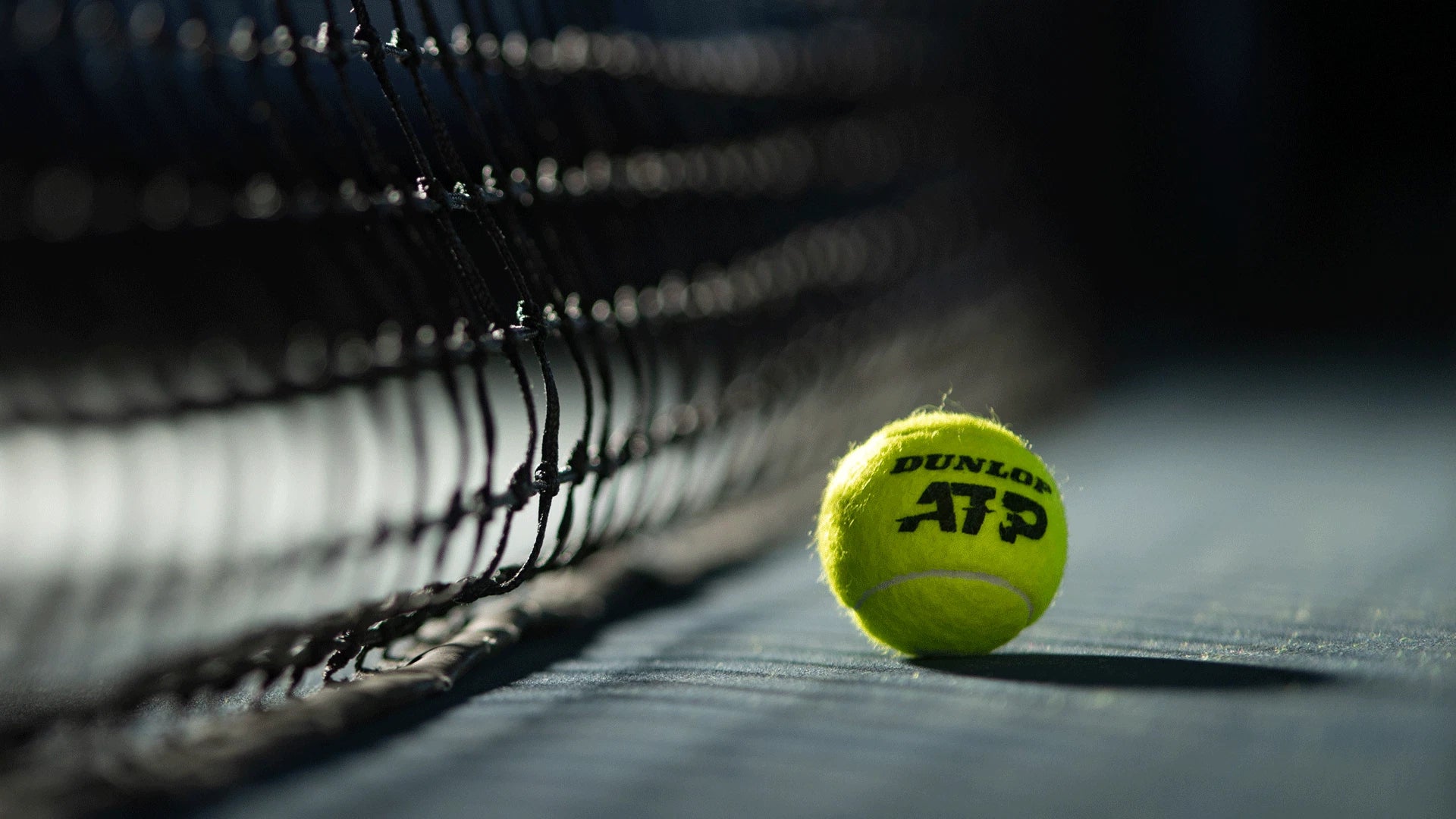 primo piano pallina da tennis dunlop ATP