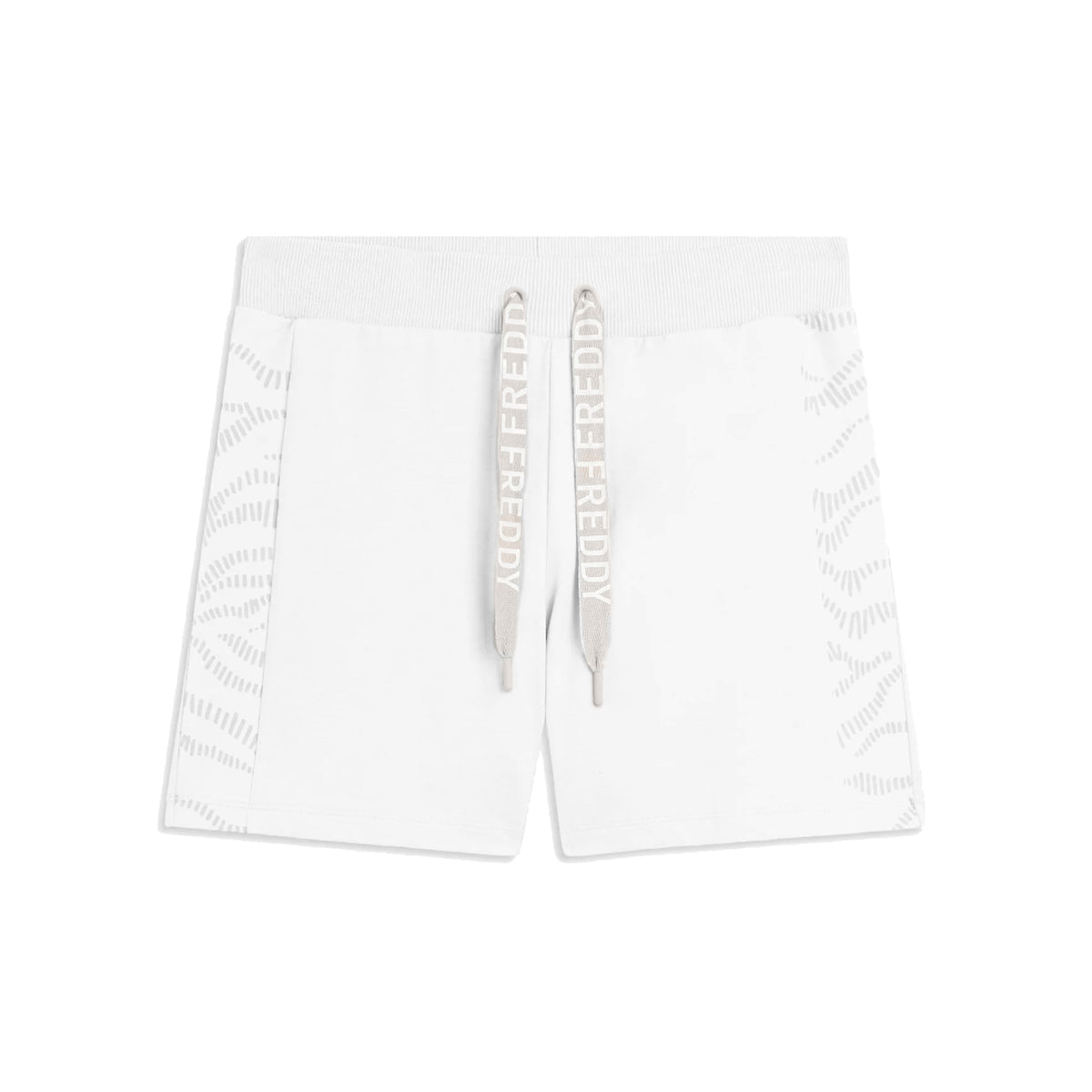 FREDDY BERMUDA TRAIN EVOLUTION